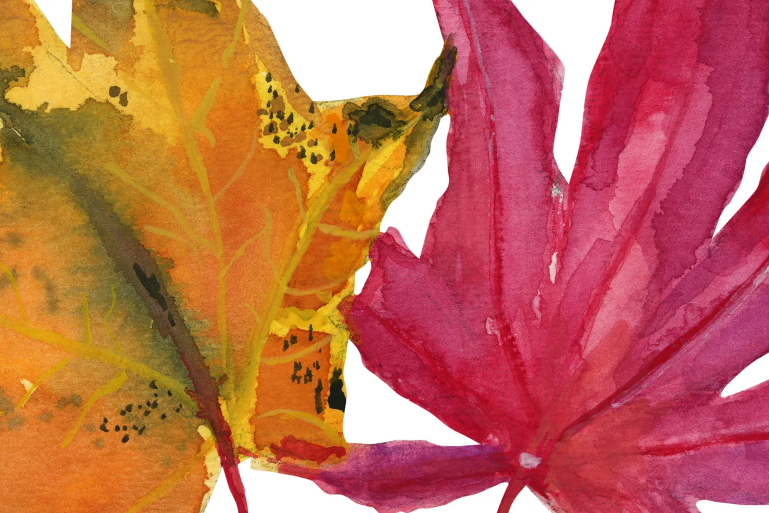 leaf_banner.jpg