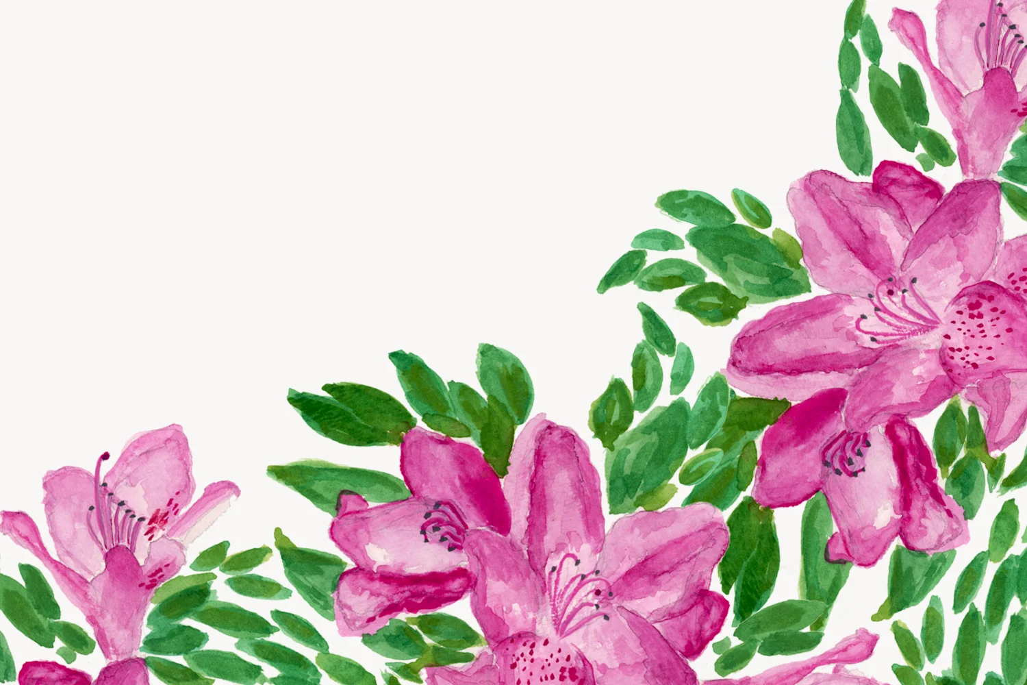 flower_banner_2.jpg