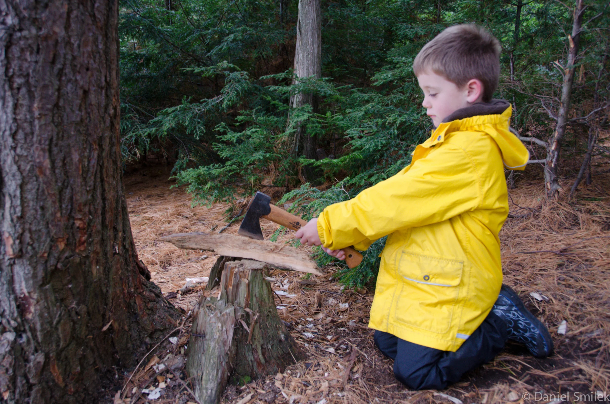 Luke chopping wood.