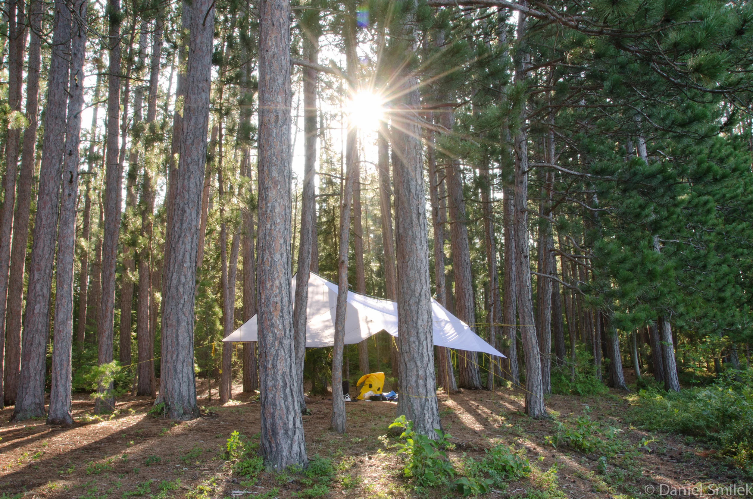 Here is the tarp we use. Notice how I flared the sun to add some drama to this photo.