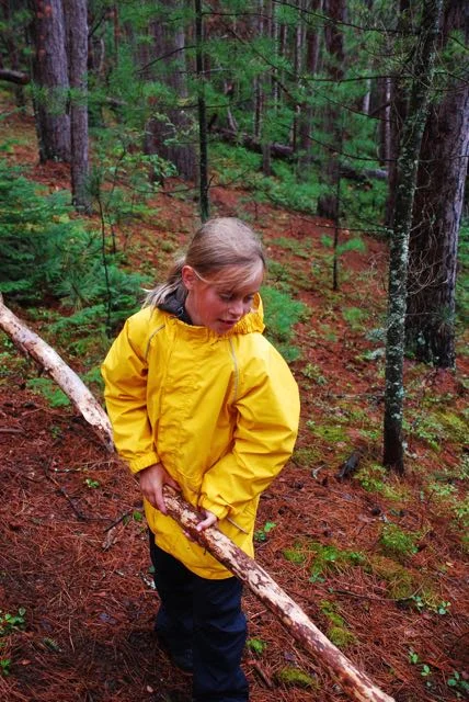 Anna is an experienced wood collector.