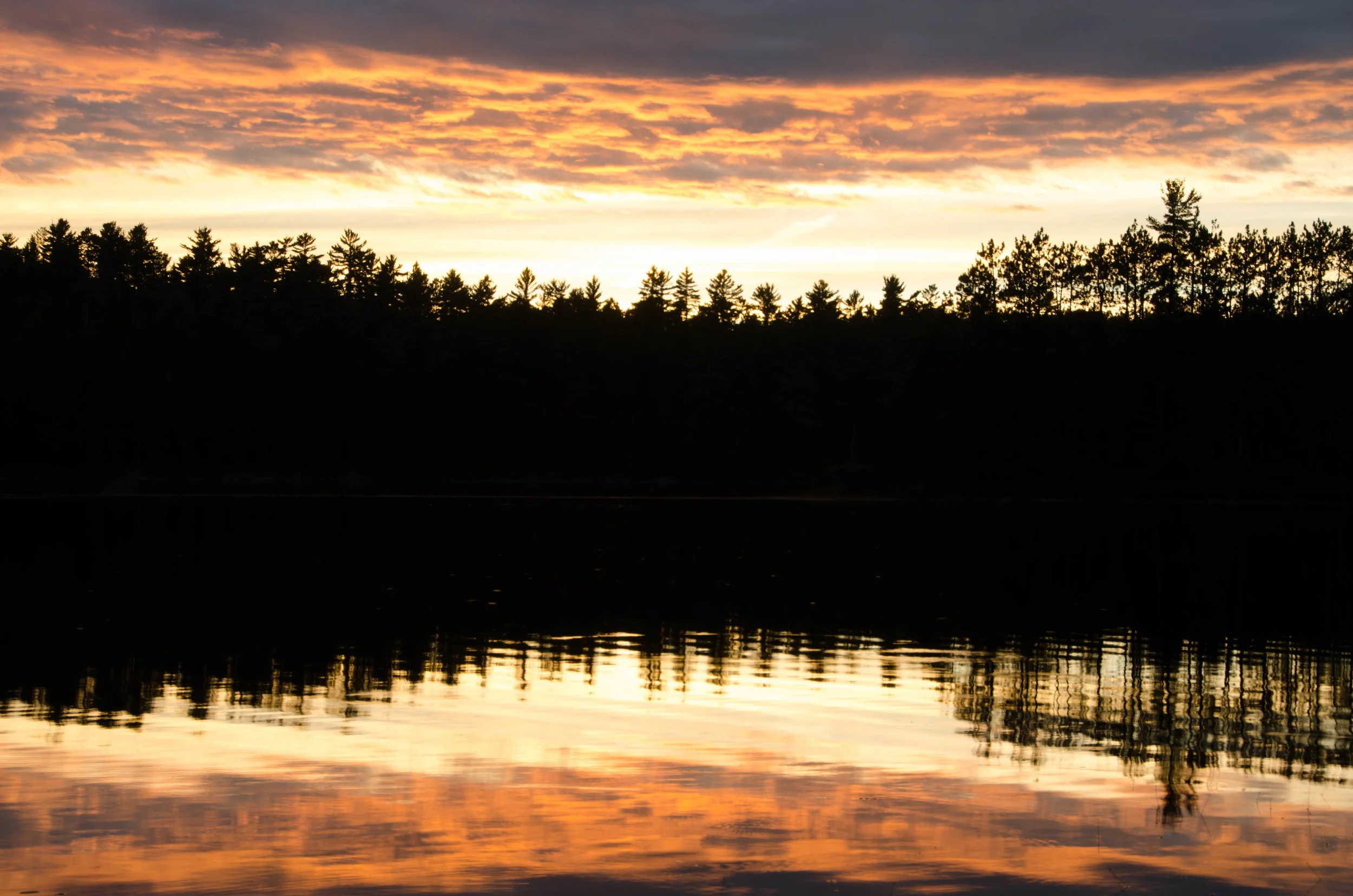 _DSC1522.jpg