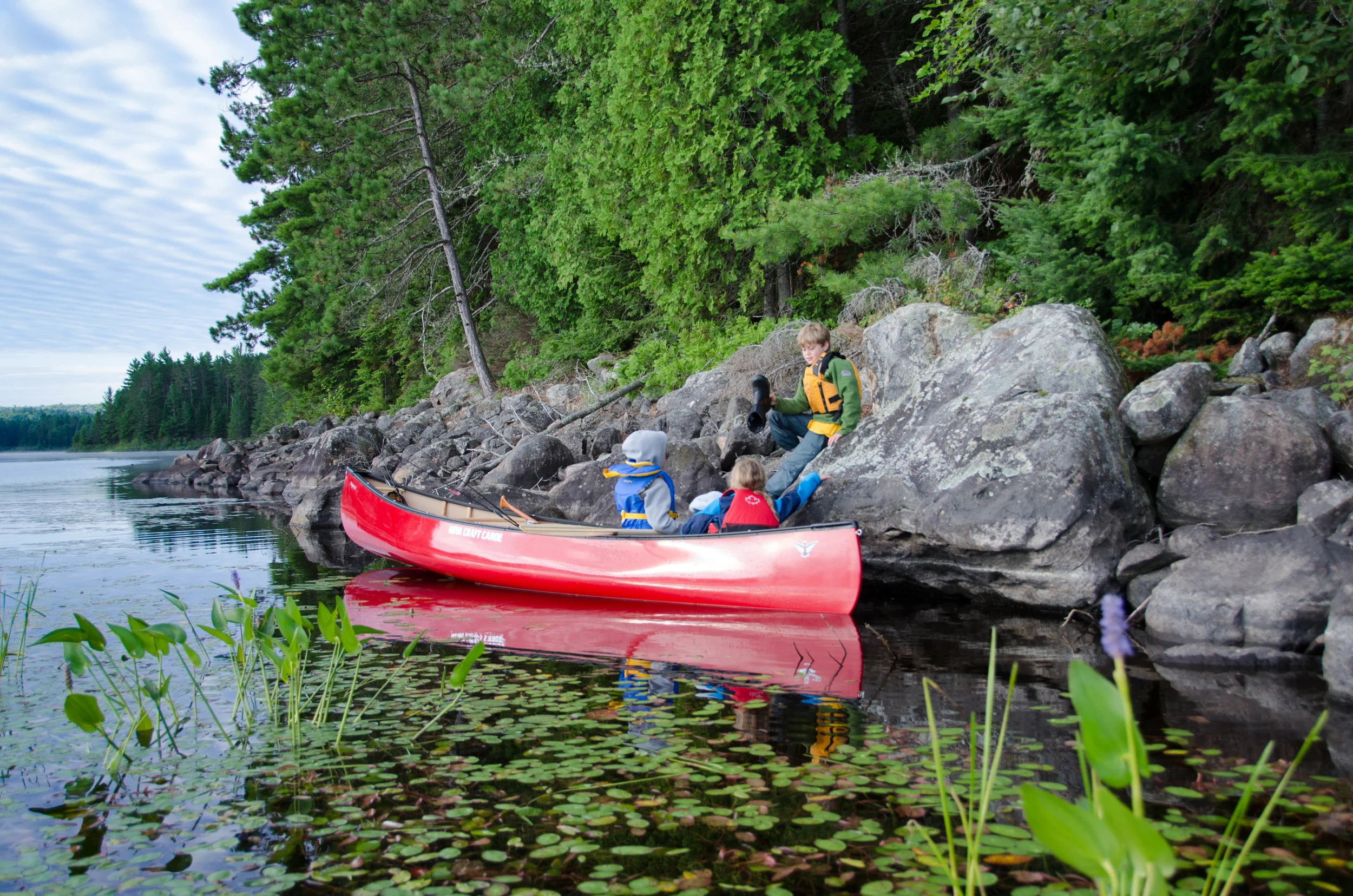 _DSC0785.jpg