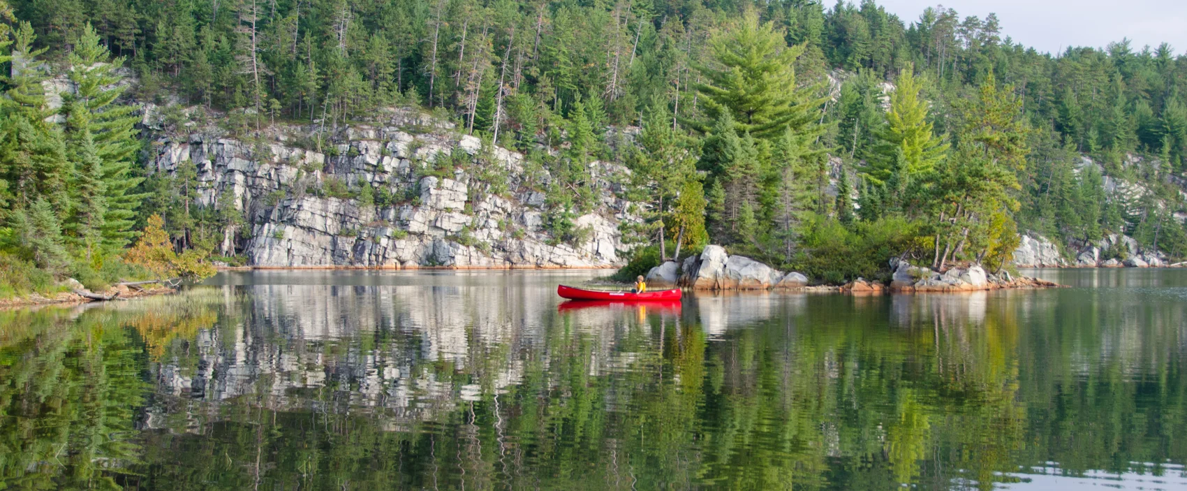 _DSC2260.jpg