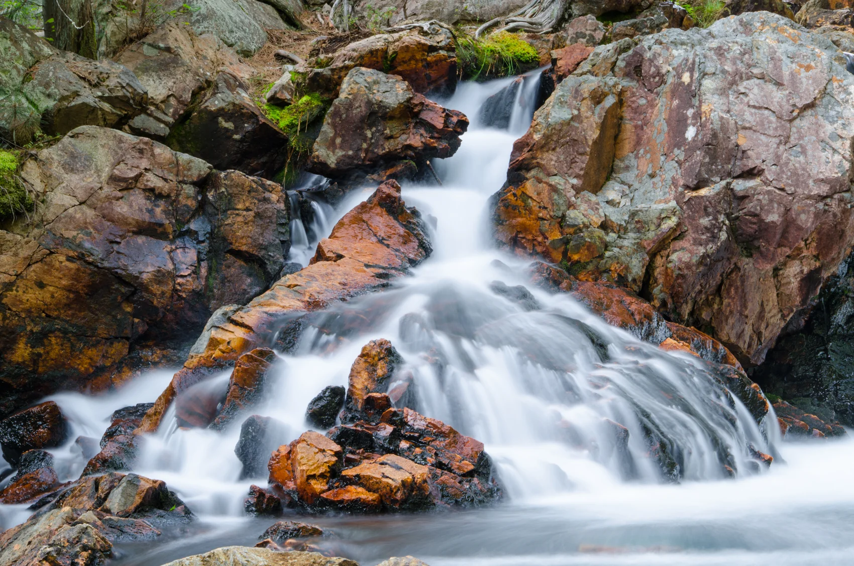 _DSC1928.jpg