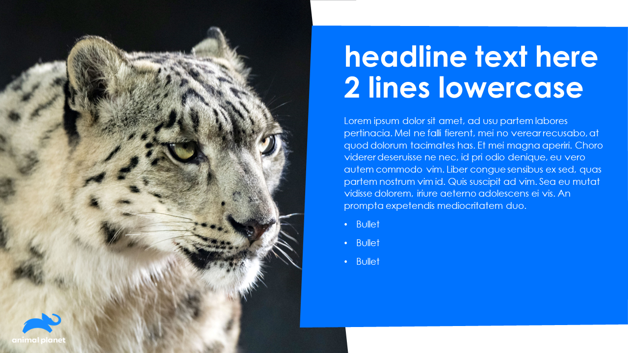 Slide17.PNG