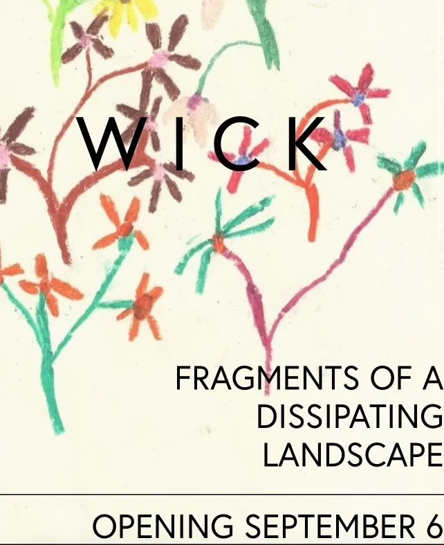 Fragments of a Dissipating Landscape