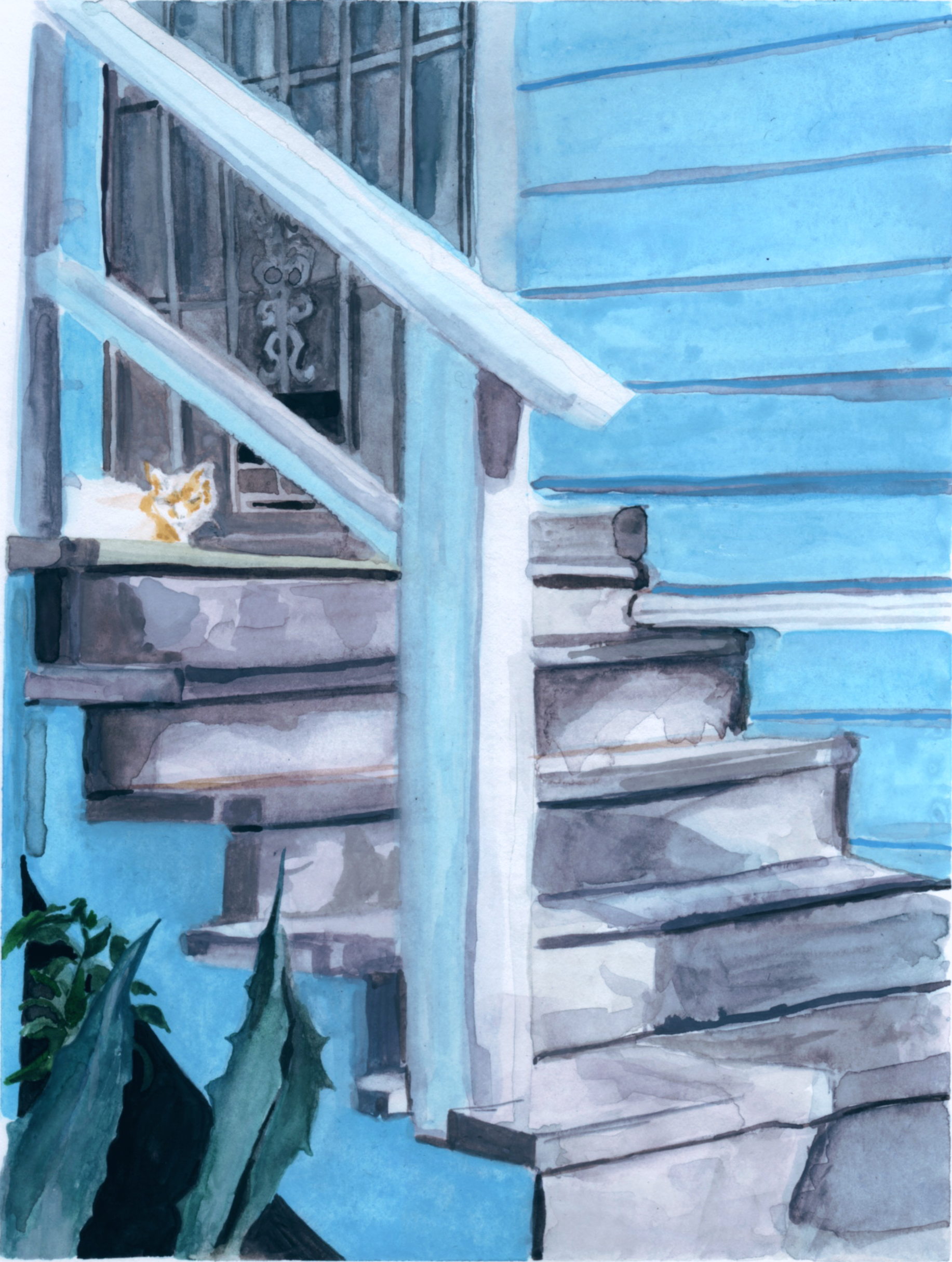 Porch Cat 1 (Blue House On Corner)