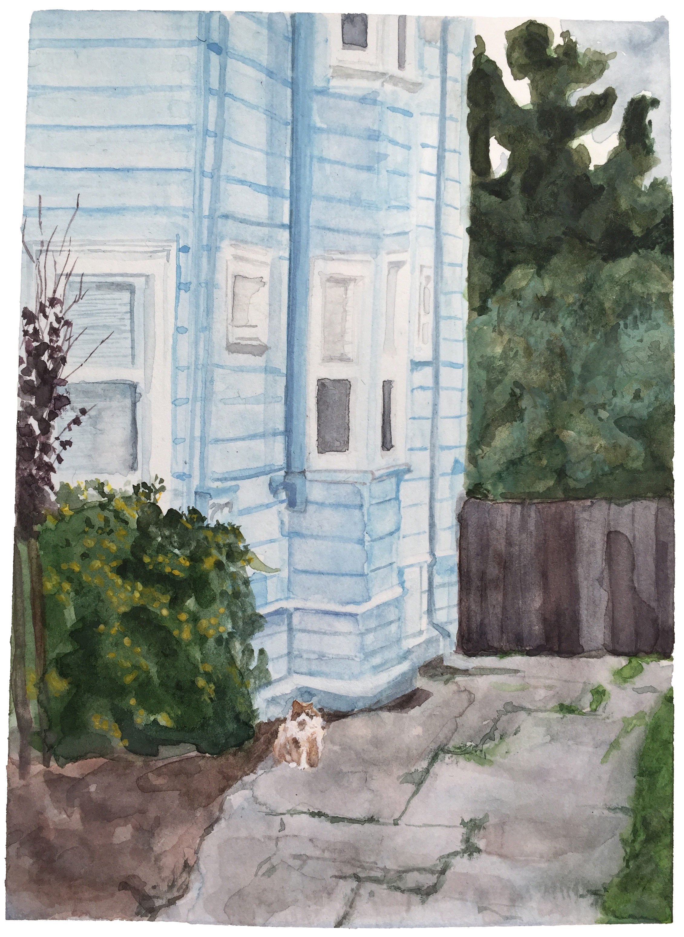 Cat in Driveway 1 (Blue House)