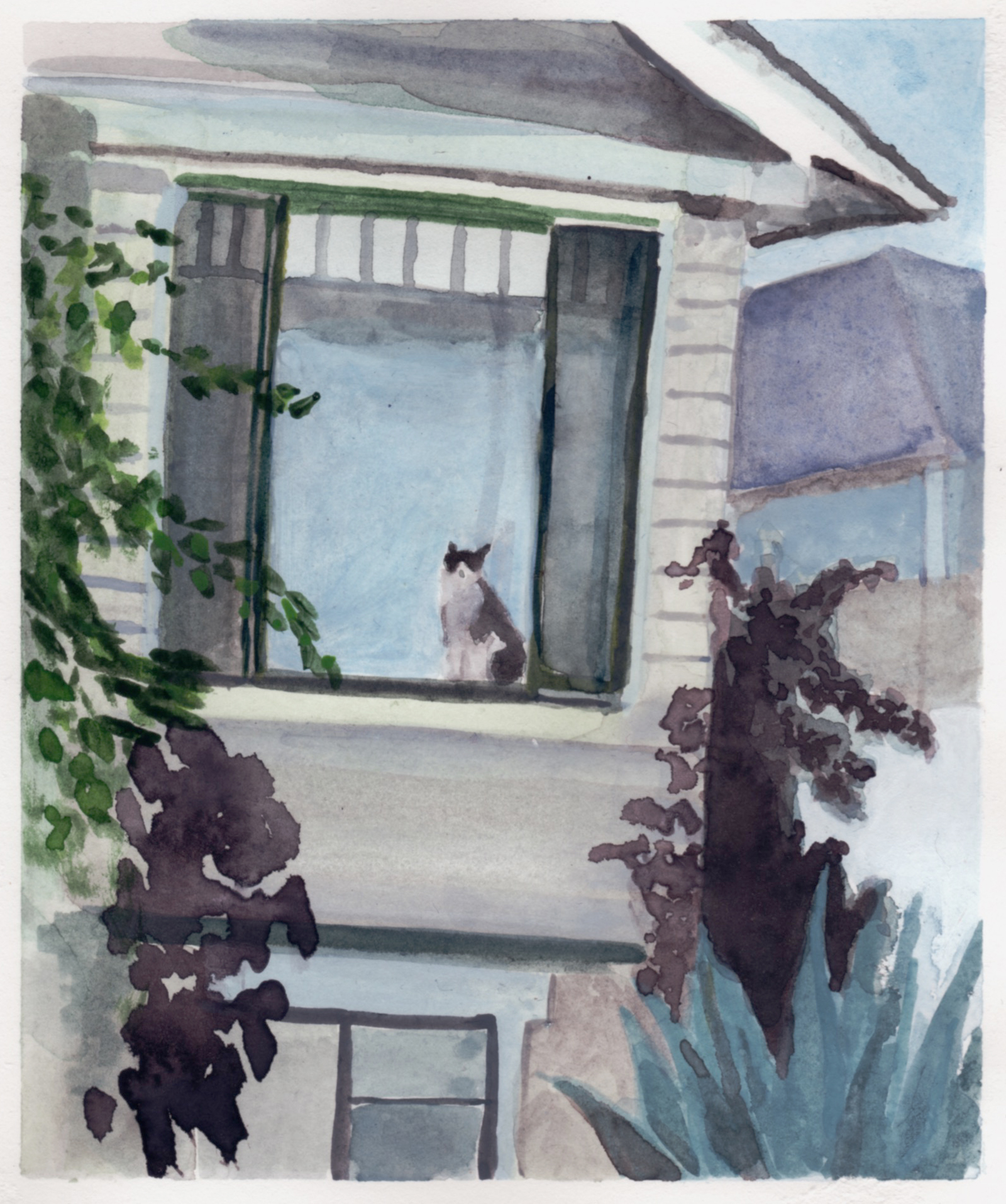 Window Cat 1
