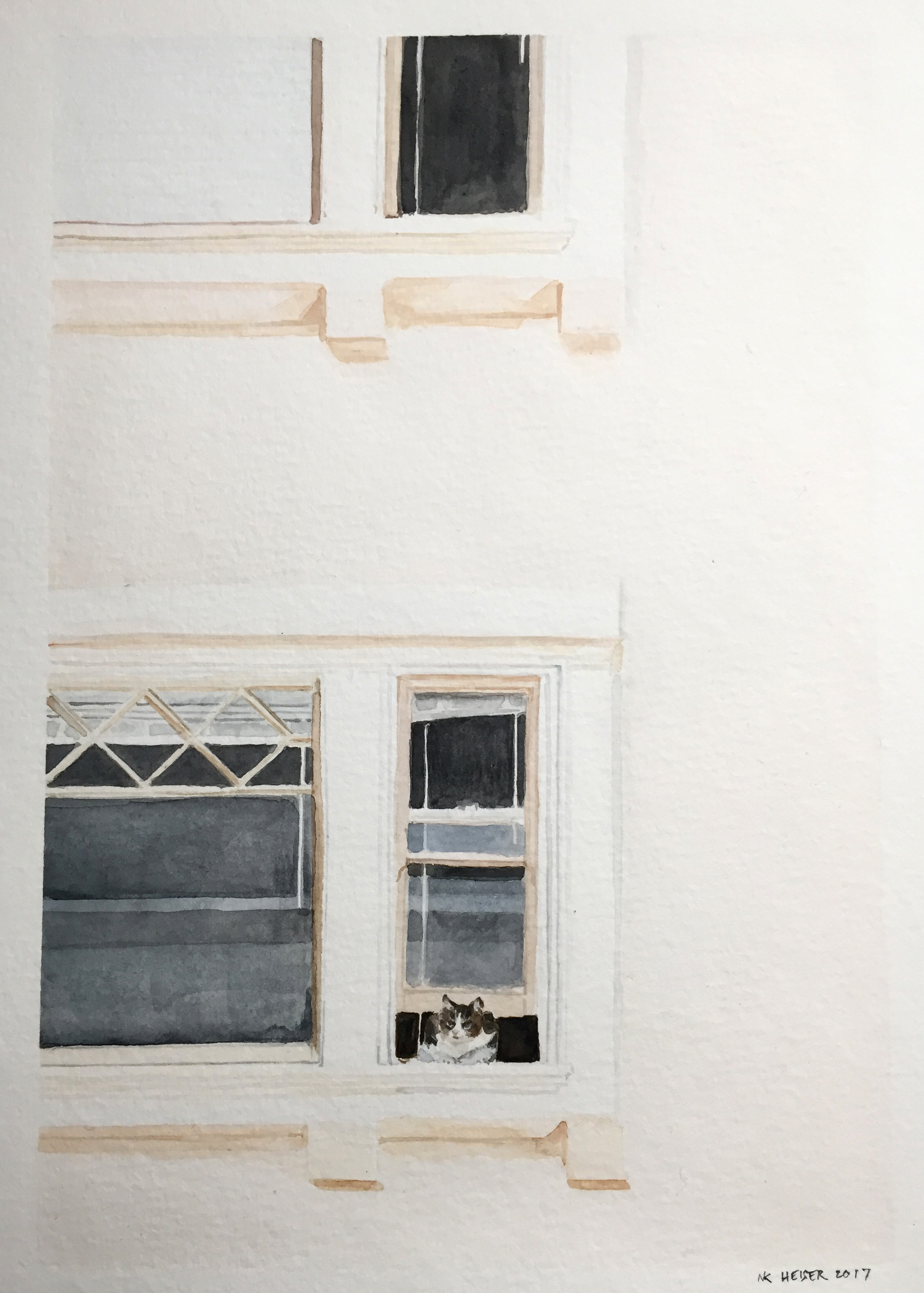Window Cat 2 (Romeow)