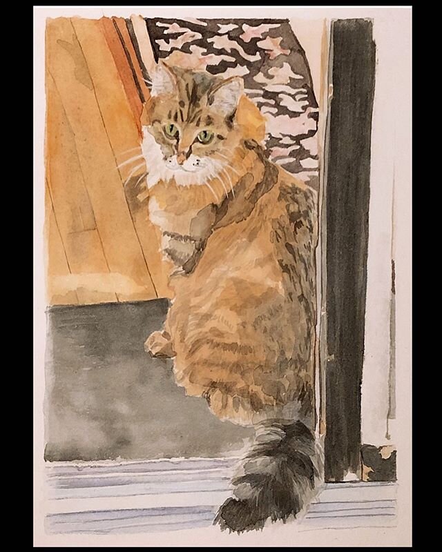 Leia
8x10 inches, watercolor on paper
.
.
.
#watercolor #commission  #watercolorportrait #watercolorpainting #watercolorcat #commissionsopen #petportrait #watercolorpetportrait #catportrait #memorialportrait