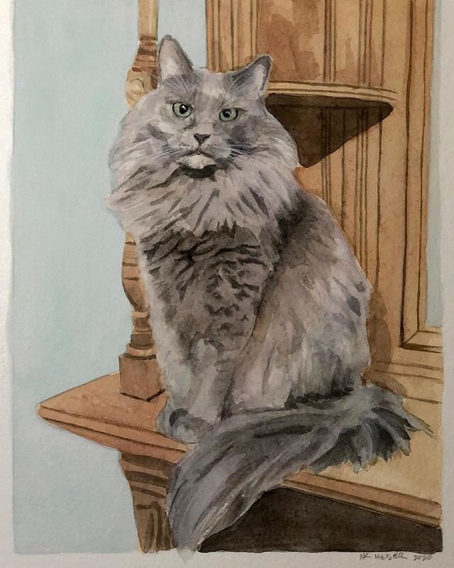 Rascal

8x10 inches, watercolor on paper. .
.
.
#watercolor #commission #watercolorportrait #watercolorpainting #petportrait #watercolorcat #commissionsopen #watercolorpetportrait #catportrait