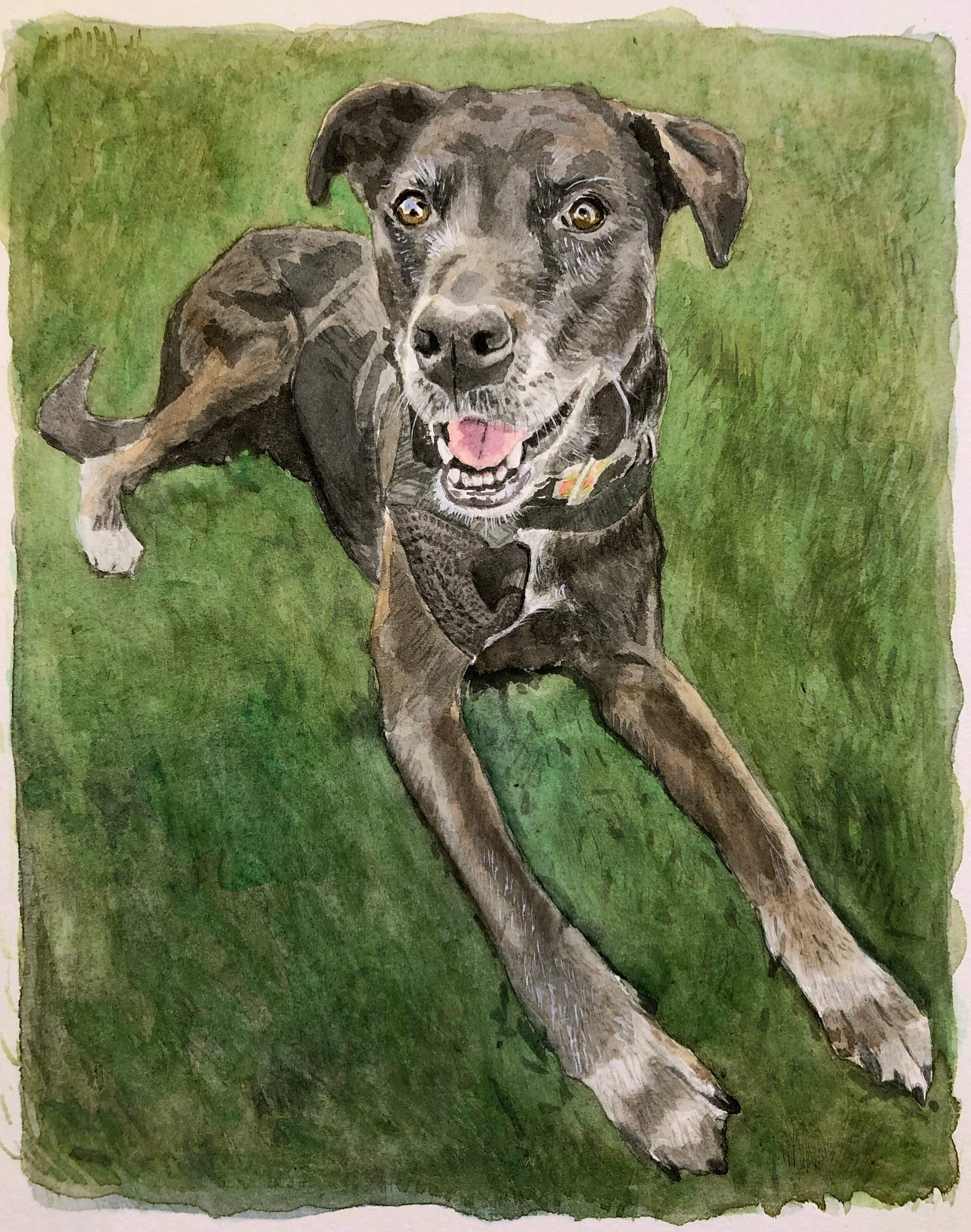 Riley
