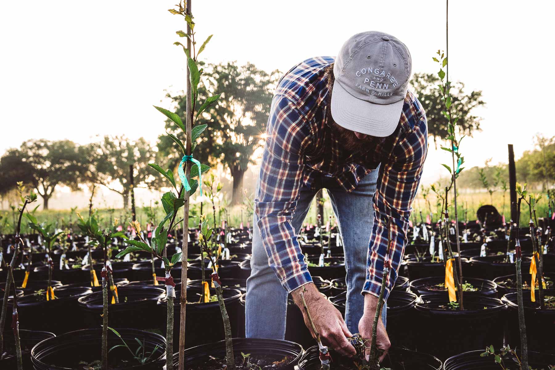 Florida Farm Photography