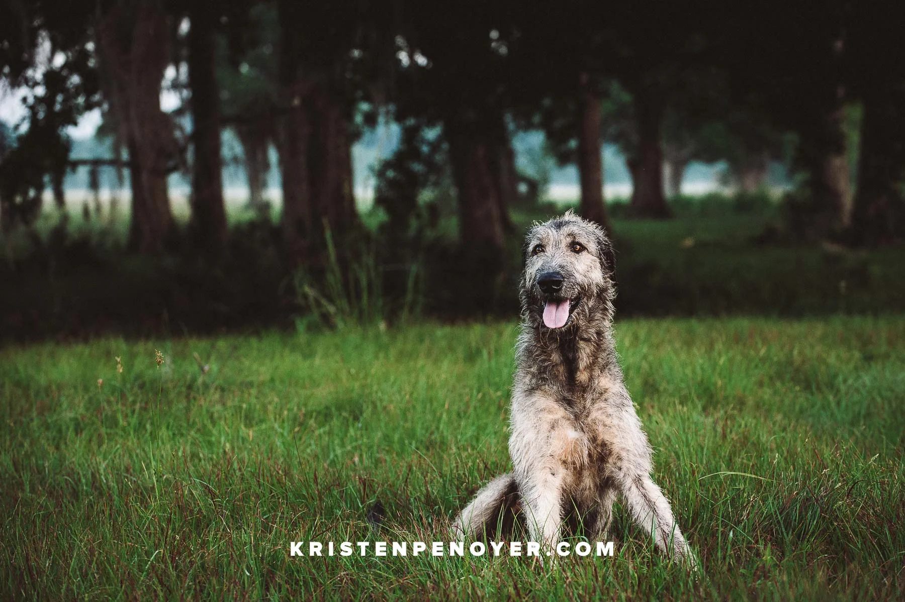 Florida Farm Photography