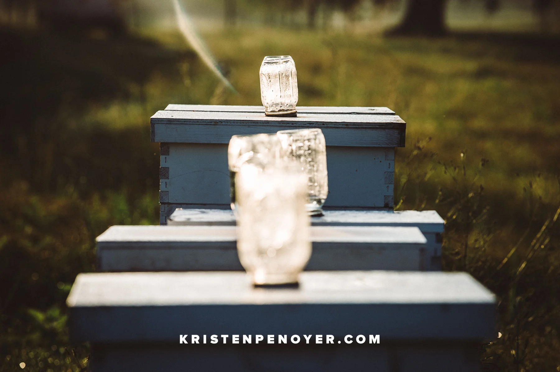 Florida Beekeeping Photography