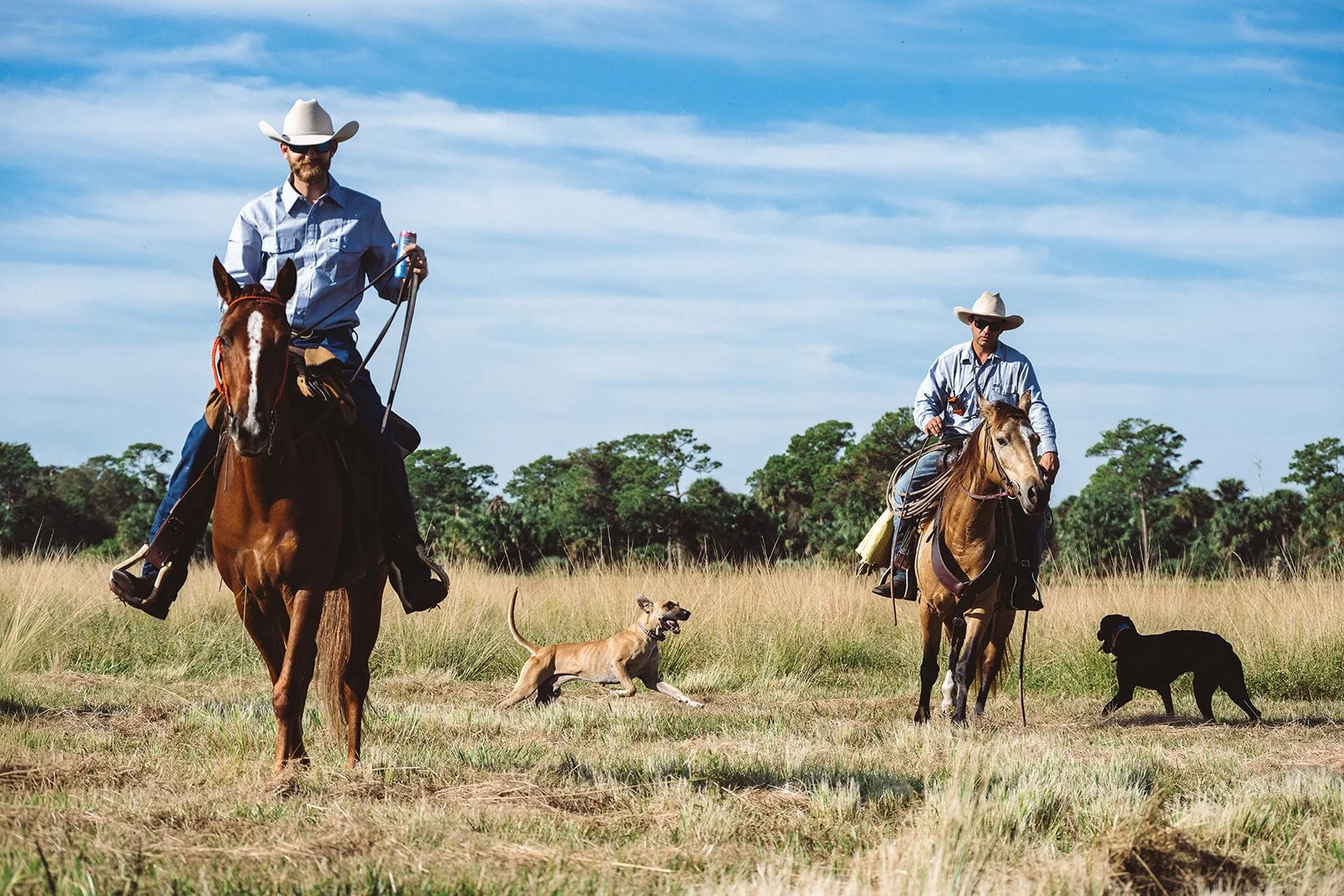 Cowboys and Herding Dogs at Everglades Ranch - Vero Beach, Florida