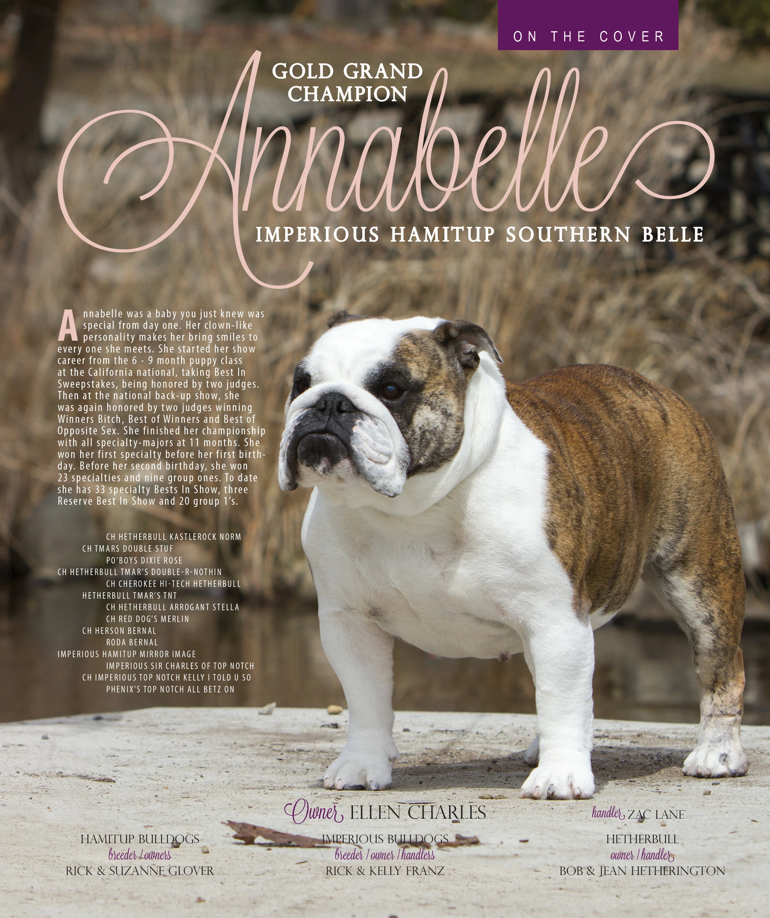 Annabelle DIR on the cover.jpg