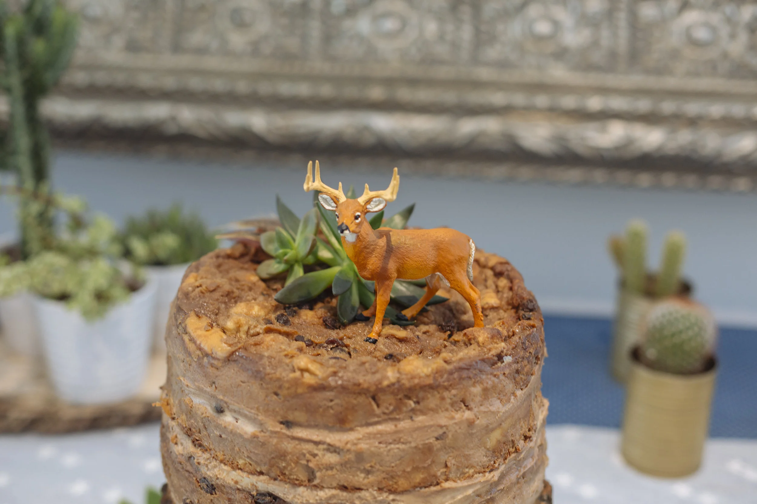 close-up of cake toppers. deer figurine + real succulents + real feathers
