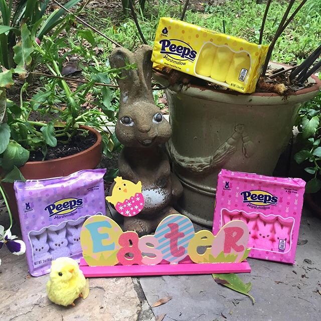 Hoppy Easter!!! 🐣🐰🐥
I went for a walk around the neighborhood.  What did you all do today? 
#easter2020 #peeps