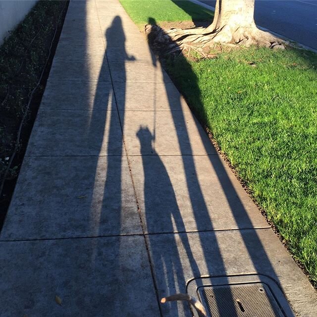 So for my 1,000th post here I am taking a break out walking the neighborhood with @lilyjcollins and @redforddog enjoying the sunshine while social distancing.  I am sure you are wondering... taking a break from what??? Well I have been doing a lot of