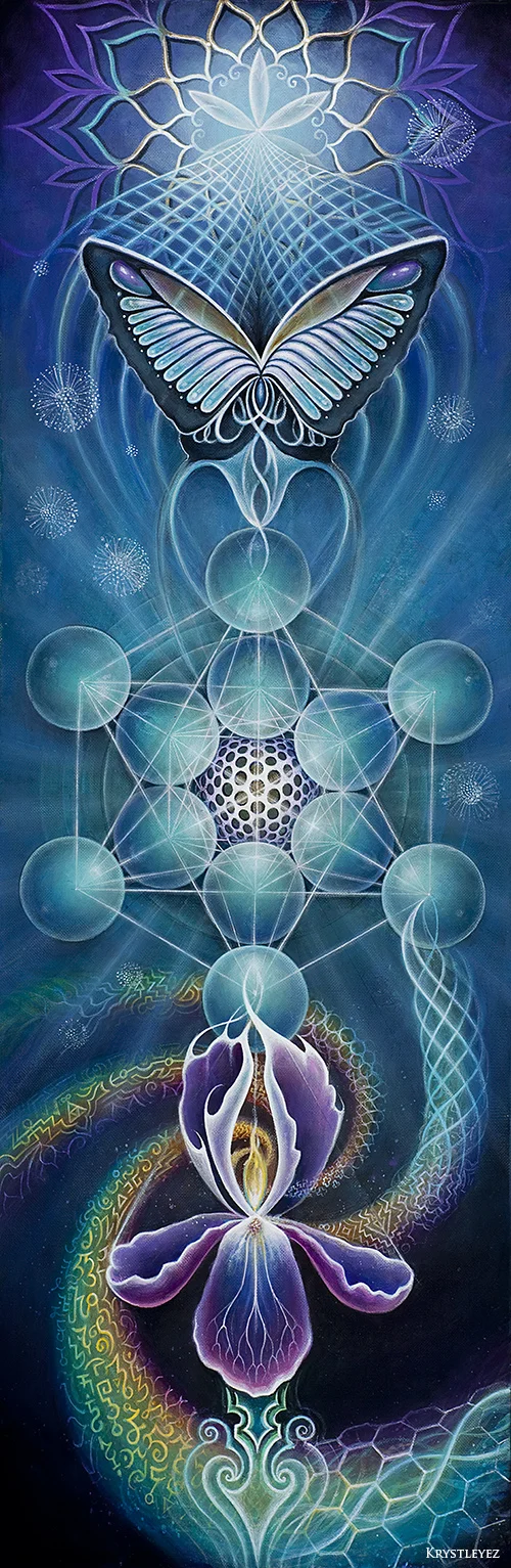 "Chrysalis" arcylic on canvas 12" x 26" 2012