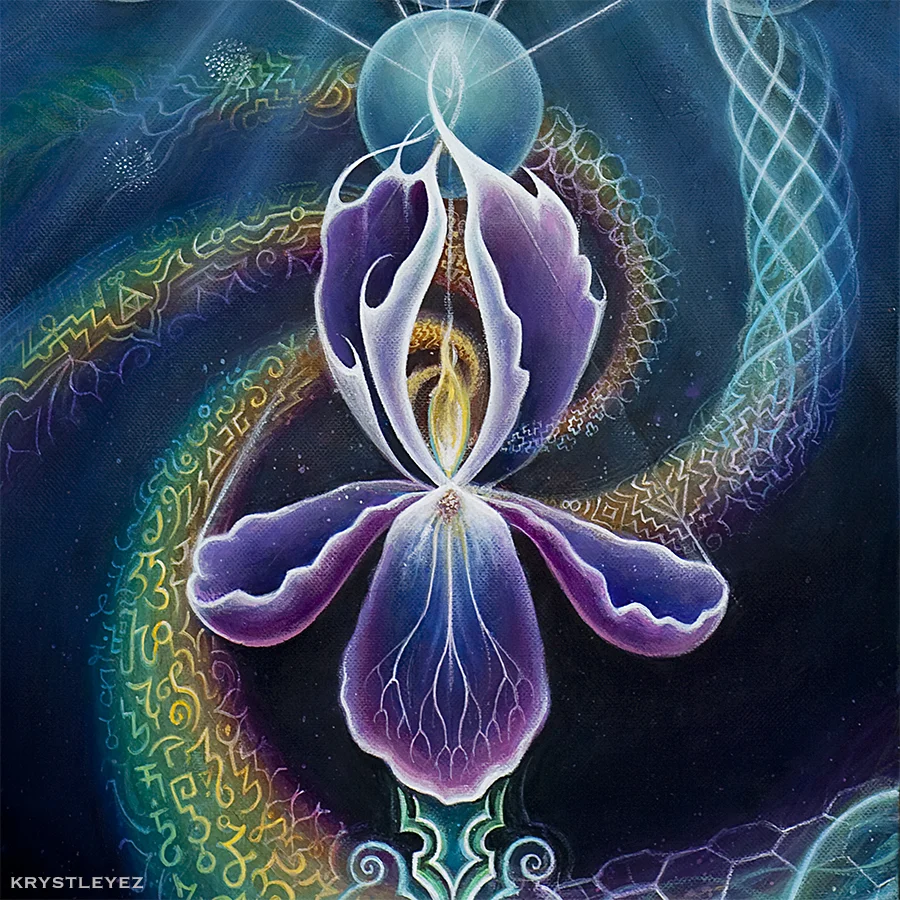 Chrysalis_SqCrop_Iris.jpg