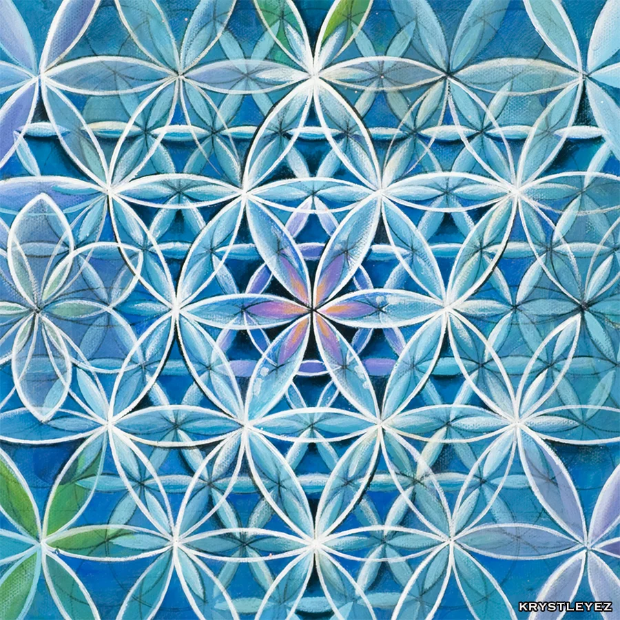 PrismVision_SqCrop_Heart.jpg