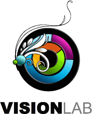VisionLabLogo-transparentbkg.gif