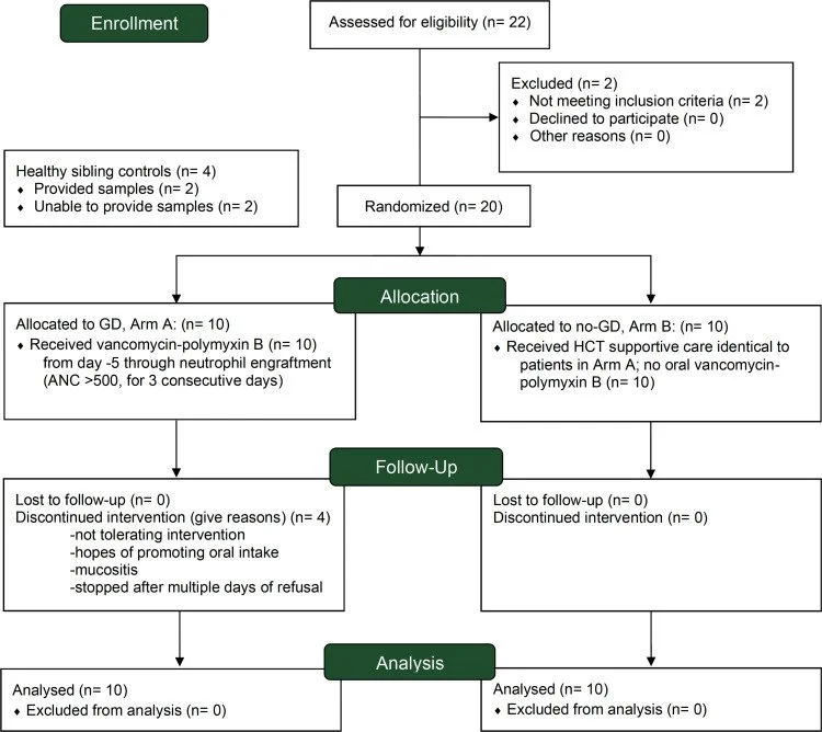 Flowchart showing how participants in a medical study were divided into treatment groups and tracked through the research process.
