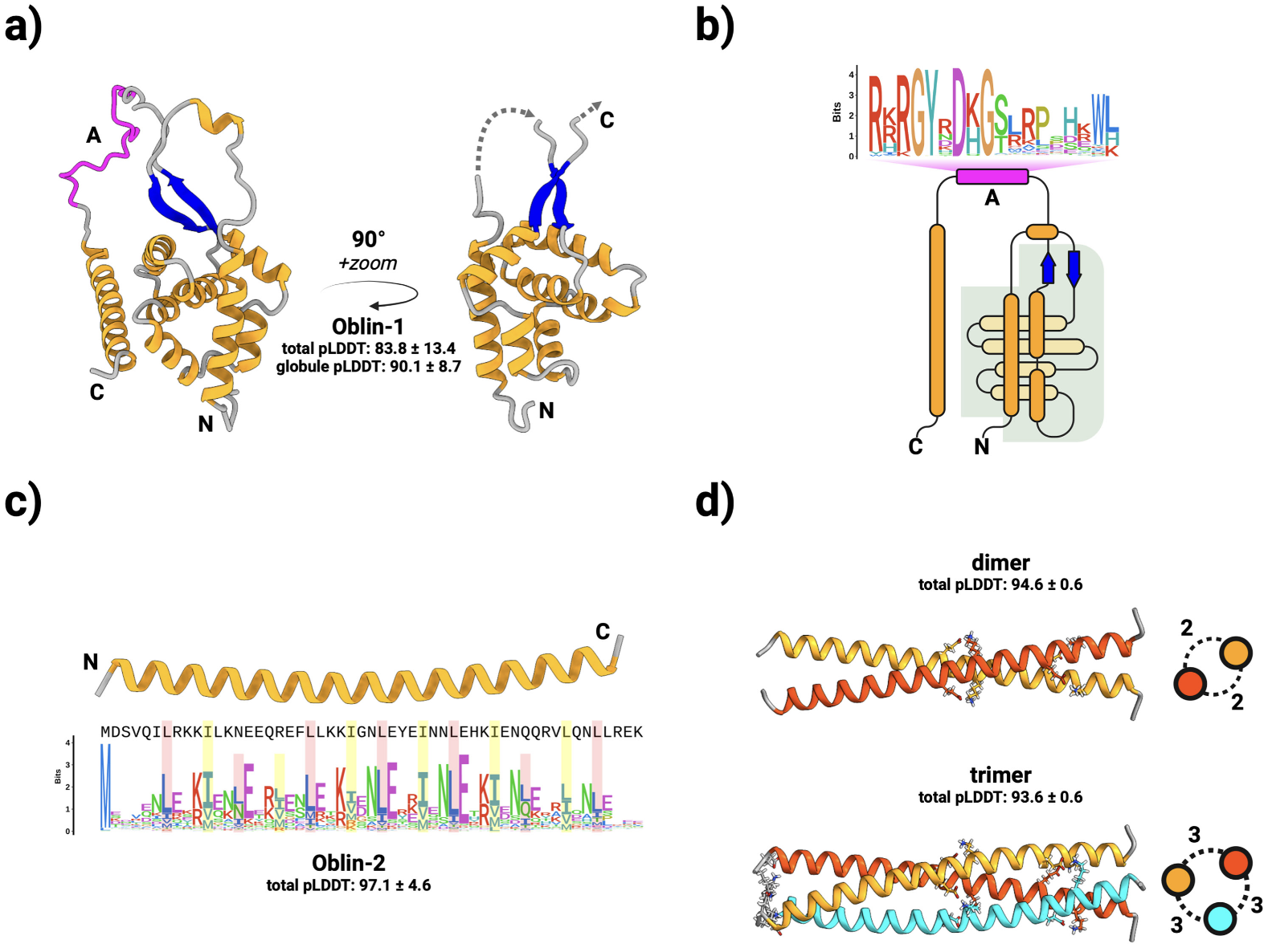 A scientific figure showing computer-generated models of two proteins, illustrating their shapes and how they fit together.