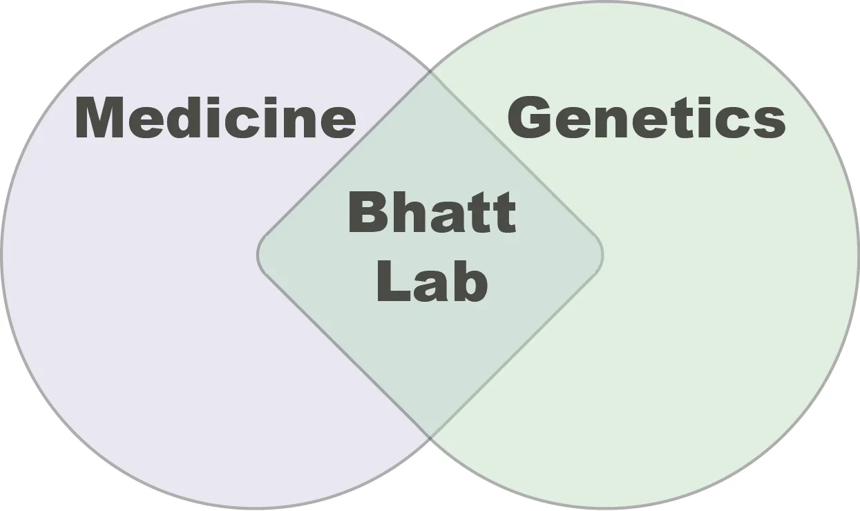 bhatt lab.png