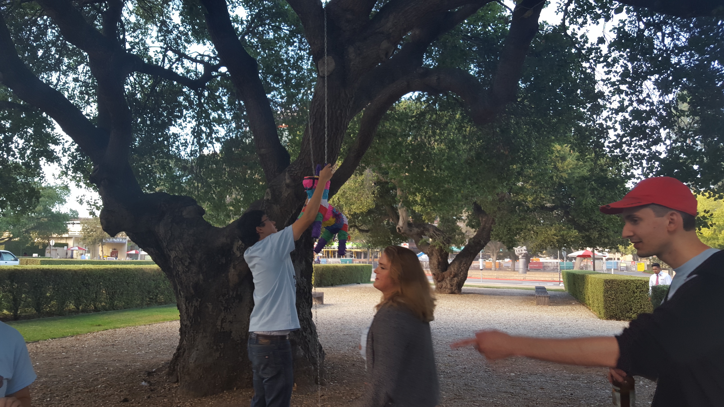 Eli and Katia put up the Pinata at the Bhatt lab birthday party!