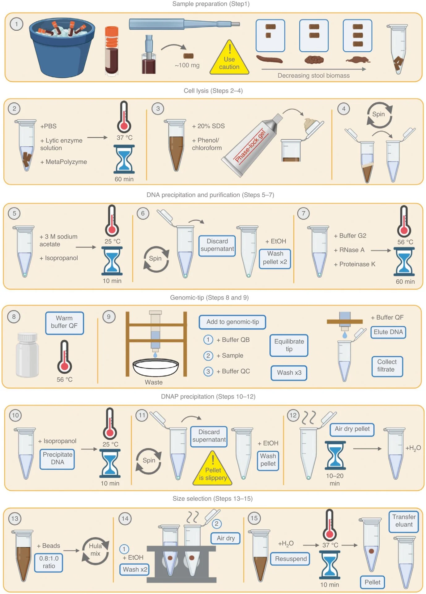 Detailed laboratory procedure diagram showing step-by-step methods for extracting and purifying genetic material from biological samples.