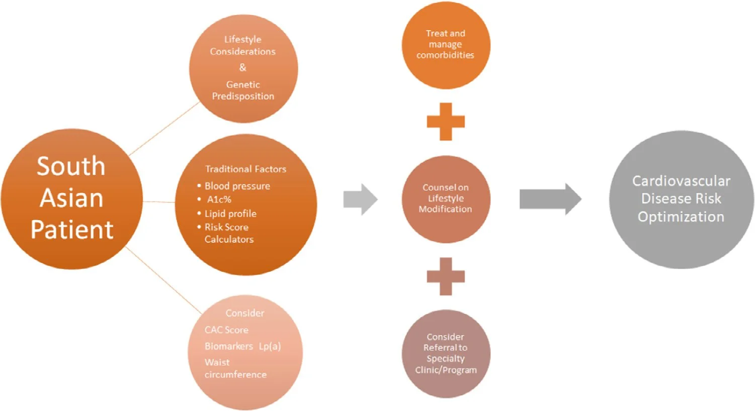 Flowchart showing a medical decision-making process for assessing and managing heart disease risk in South Asian patients using various health measurements and treatment approaches.