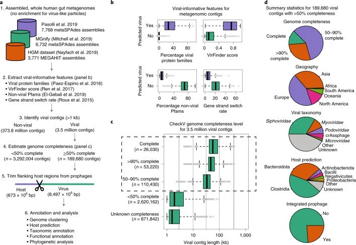 Scientific figure showing computational methods and charts used to analyze and classify viral genetic data from environmental samples.