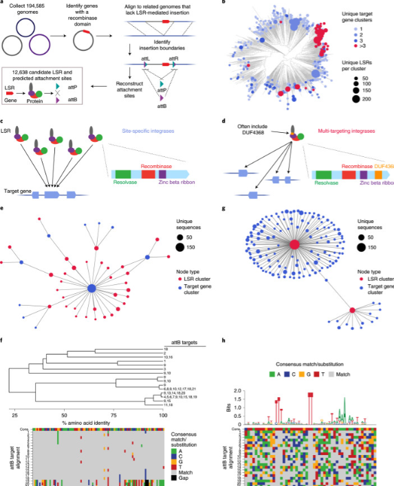 Multi-panel figure showing computational methods and network diagrams used to analyze genetic data and identify relationships between different organisms or genes.