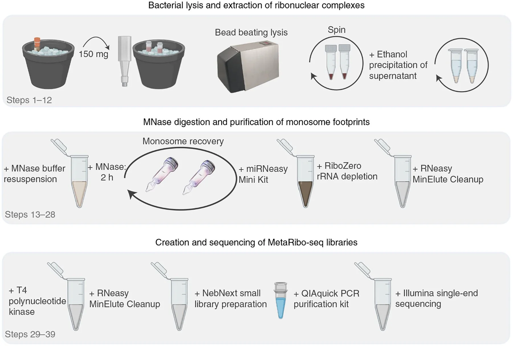 Diagram showing laboratory steps and equipment used to process samples and prepare them for genetic analysis.