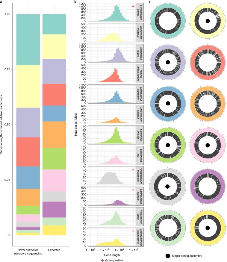 You said even simpler  Gemini said A comparison of DNA sequencing results shows how well different types of bacteria were identified and reconstructed into complete circular maps.