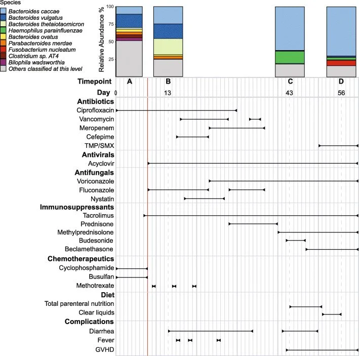 A timeline chart shows how a patient's gut bacteria changed over 56 days while they received various medical treatments like antibiotics and chemotherapy.