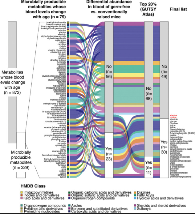 Scientific data visualization showing flow diagram