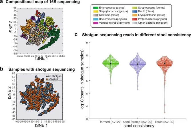 Scientific charts showing the analysis of gut bacteria using DNA sequencing methods and their relationship to stool samples.