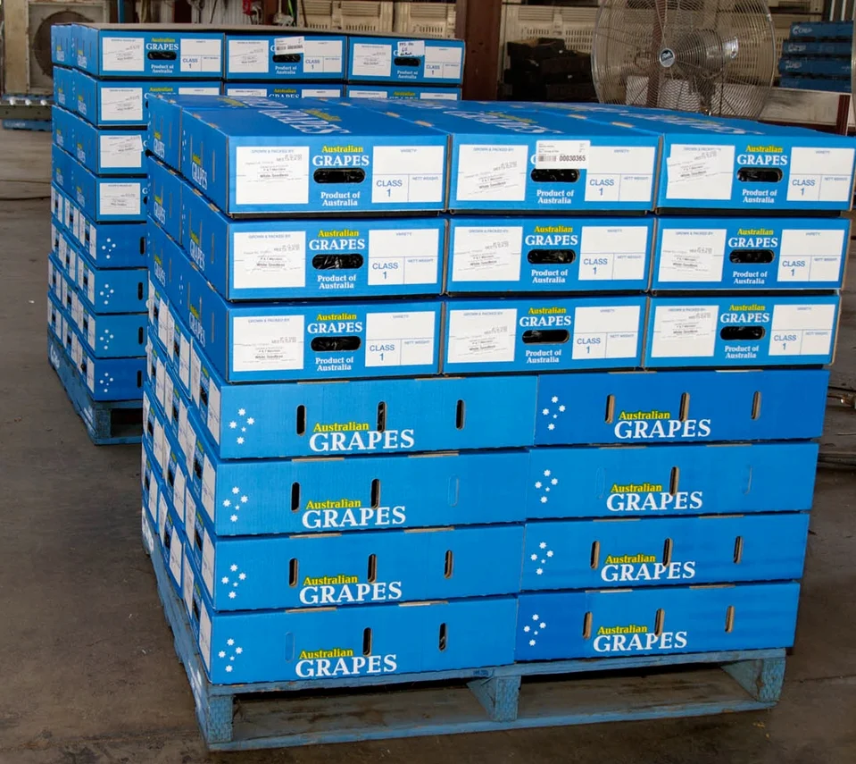 Pallet 2.jpg