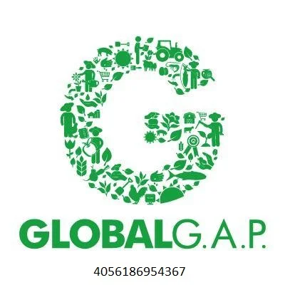 global gap.jpg