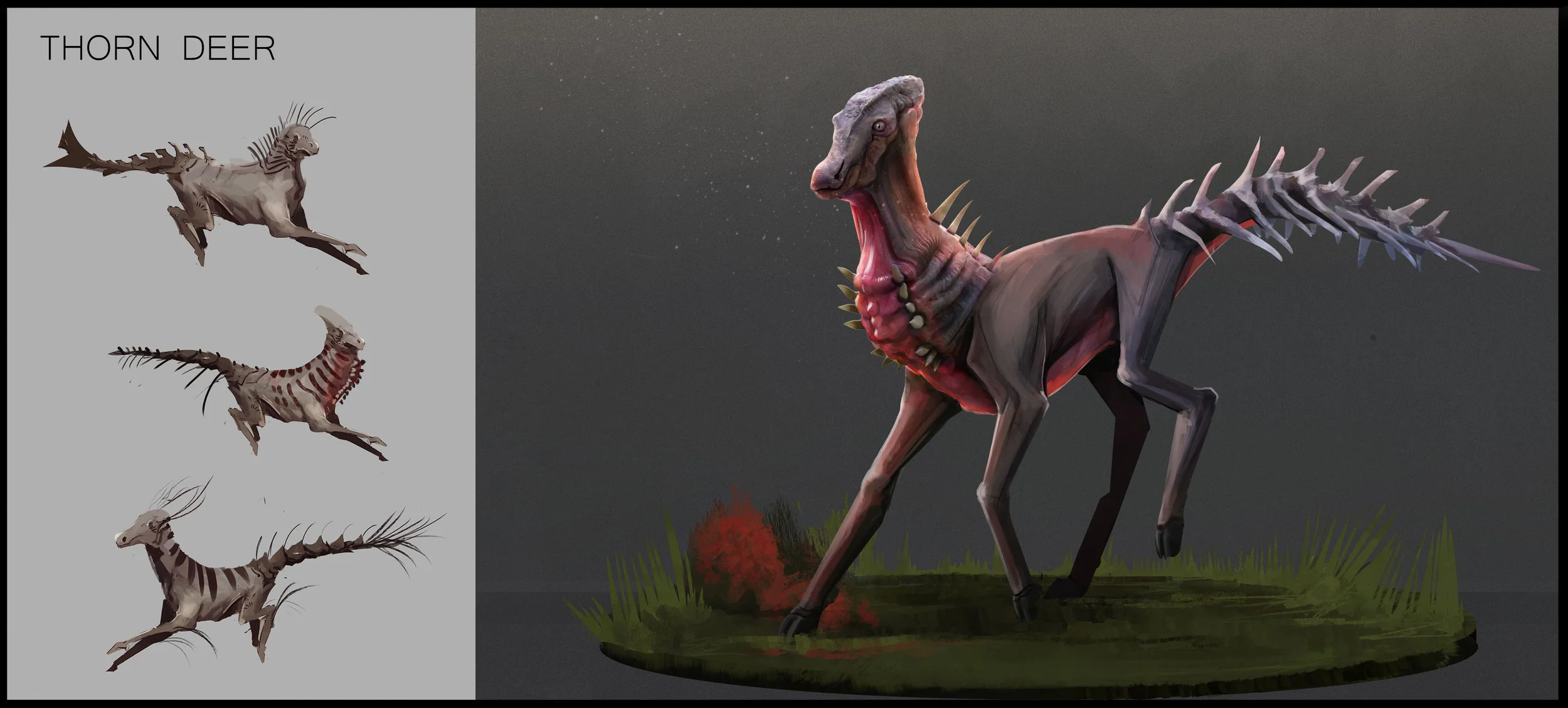 DEER-Portfolio-Formating.jpg