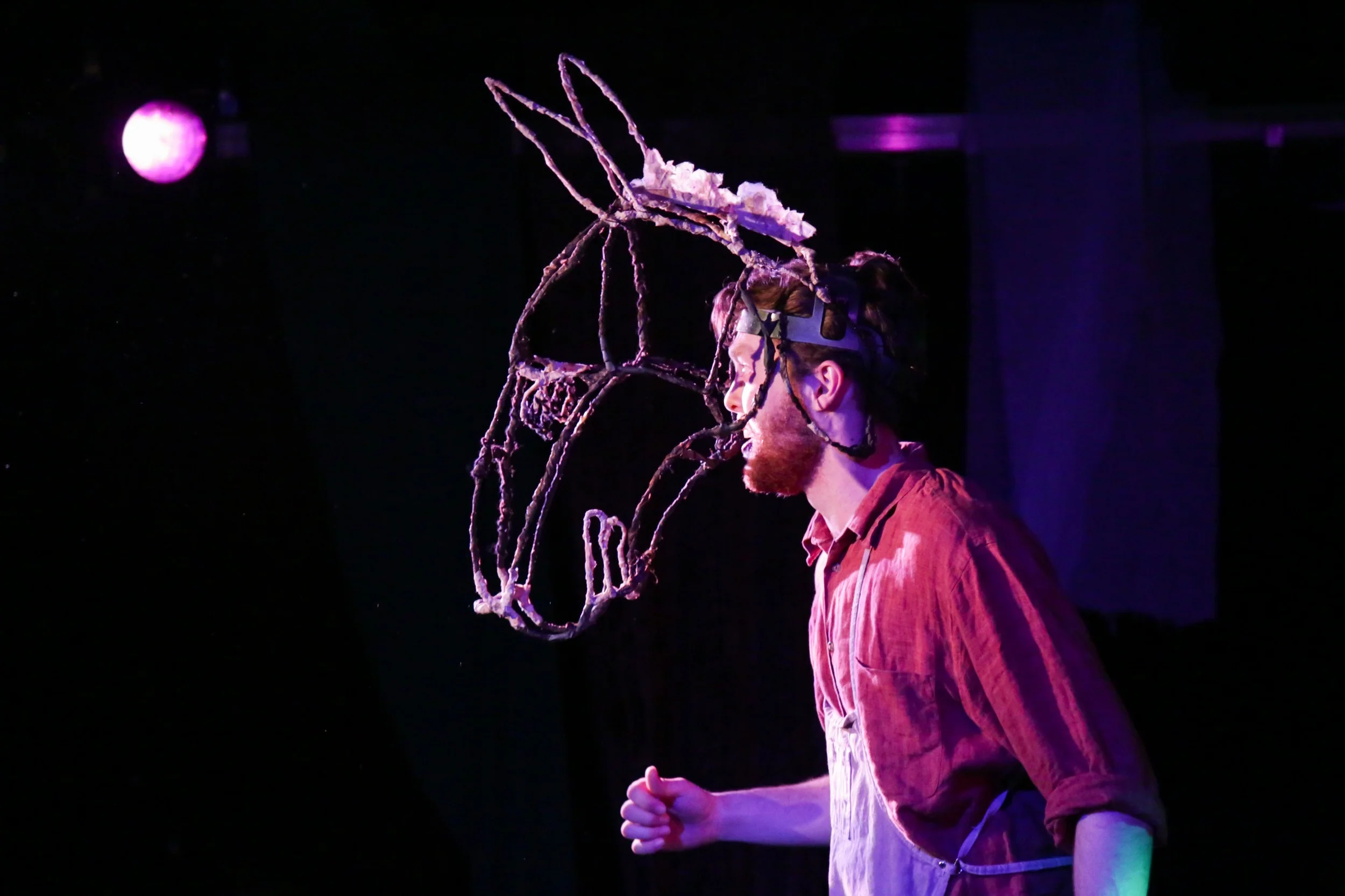 A Midsummer Night's Dream