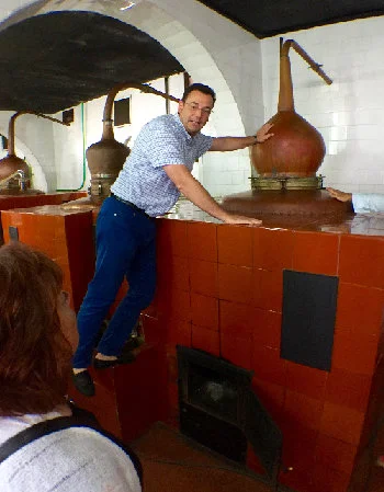 GM Adolfo passionately talking about the still