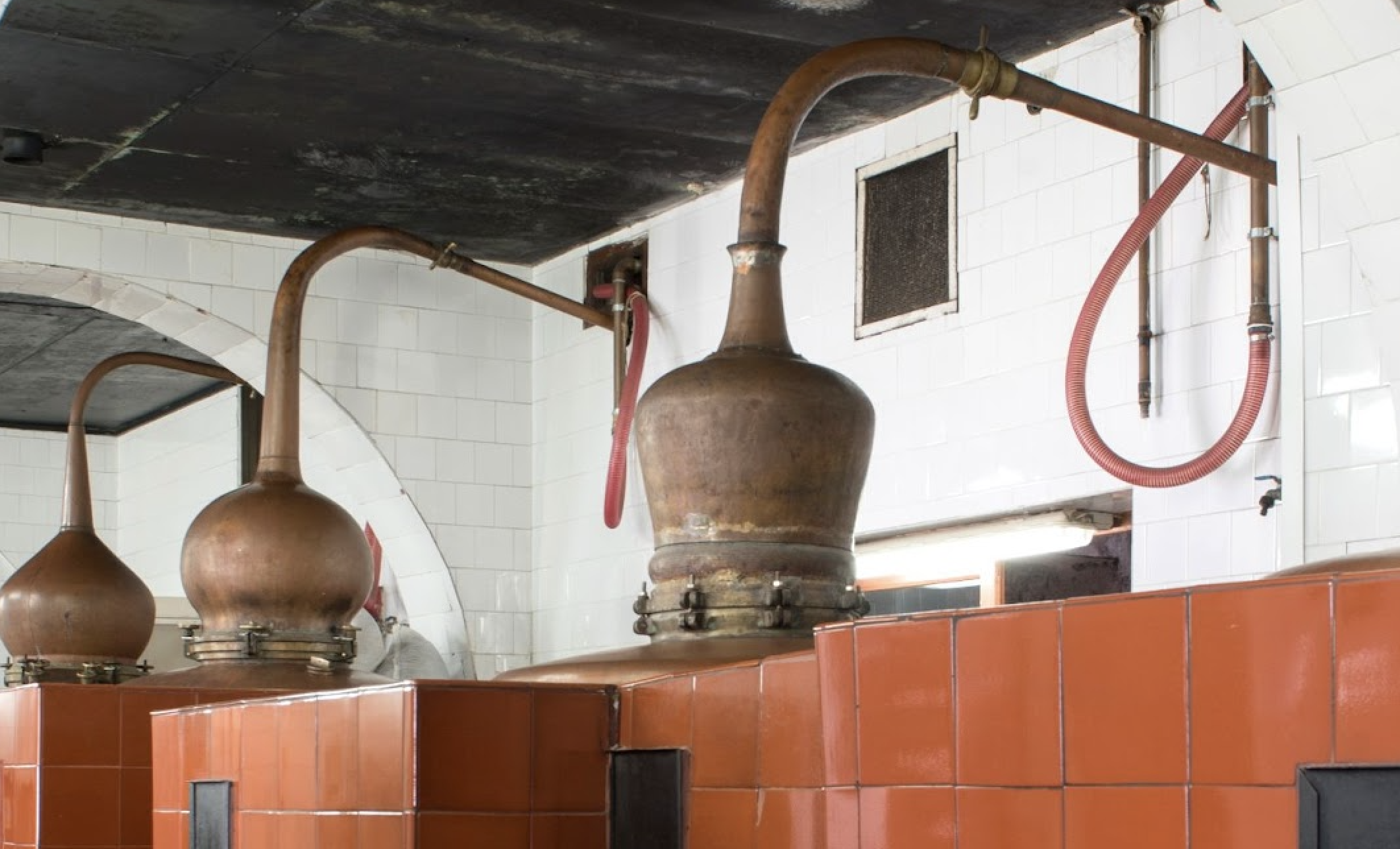 Mahón’s 300-Year-Old Tradition