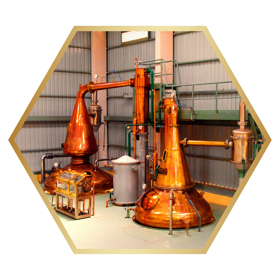 The first Single Malt Whisky to be made in India — glass revolution imports